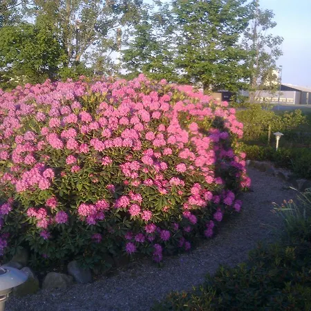 Otel Hotel Varde