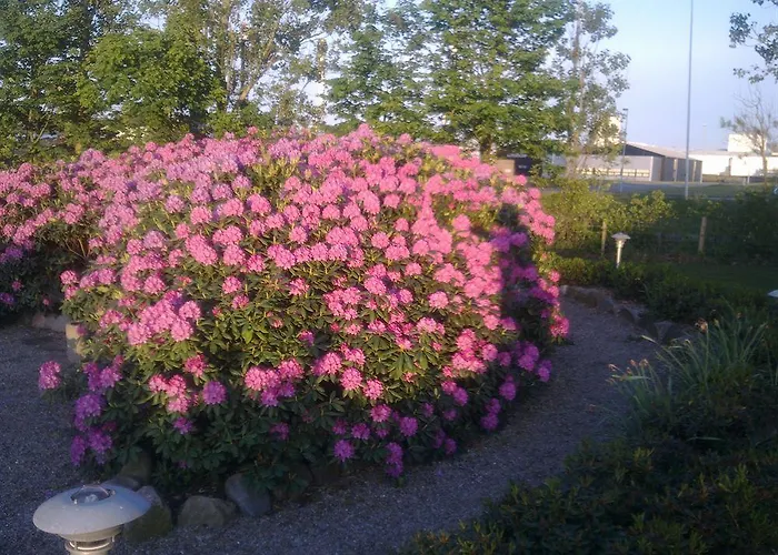 호텔 Hotel Varde